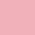 Trendfarbe 2019 - Pressed Rose